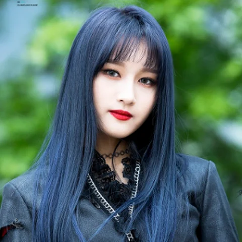 시연