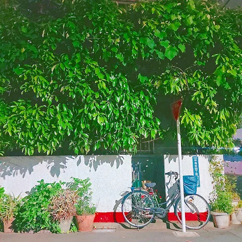 Waltz in small garden