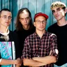Diiv